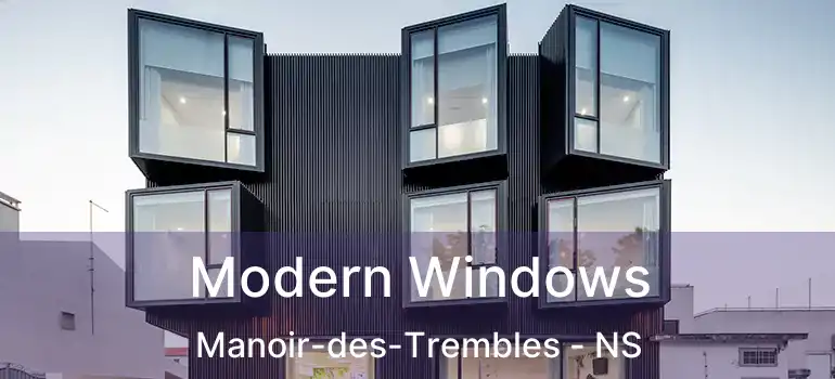  Modern Windows Manoir-des-Trembles - NS