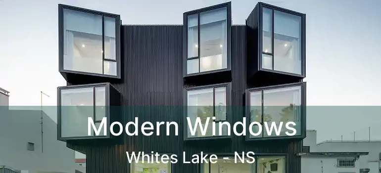  Modern Windows Whites Lake - NS