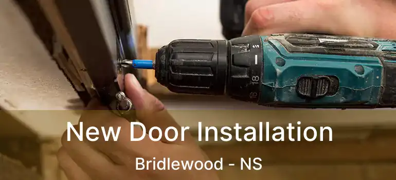  New Door Installation Bridlewood - NS