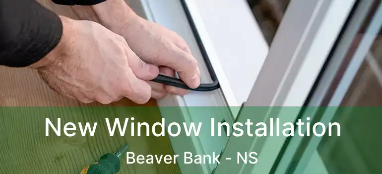  New Window Installation Beaver Bank - NS