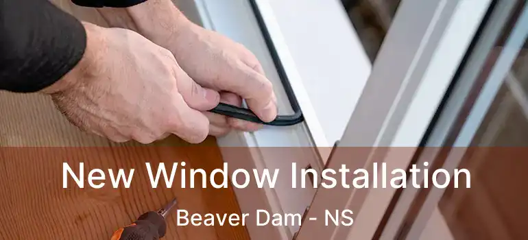  New Window Installation Beaver Dam - NS