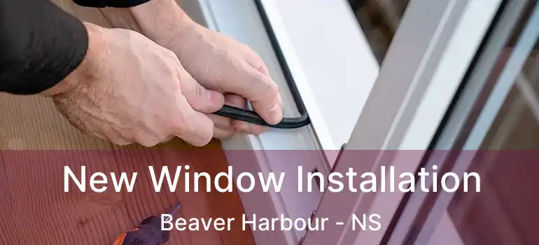  New Window Installation Beaver Harbour - NS