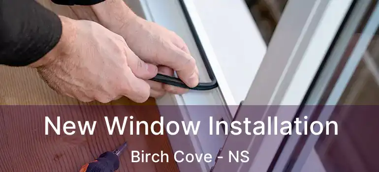  New Window Installation Birch Cove - NS