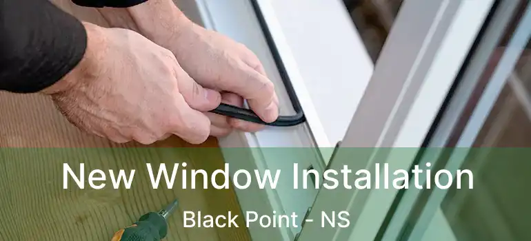  New Window Installation Black Point - NS