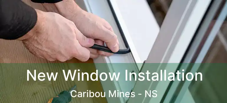  New Window Installation Caribou Mines - NS