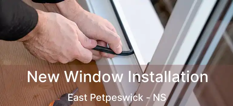  New Window Installation East Petpeswick - NS