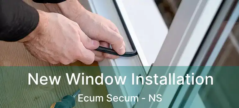  New Window Installation Ecum Secum - NS