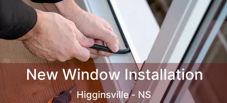  New Window Installation Higginsville - NS