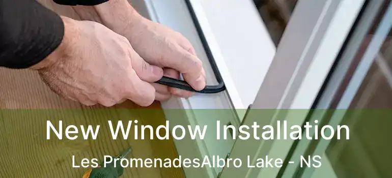  New Window Installation Les PromenadesAlbro Lake - NS