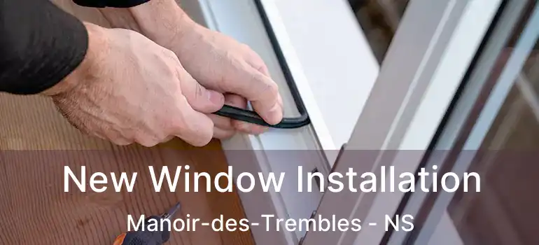  New Window Installation Manoir-des-Trembles - NS