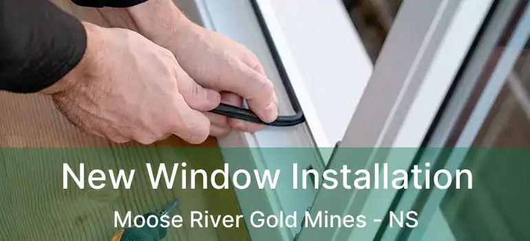  New Window Installation Moose River Gold Mines - NS