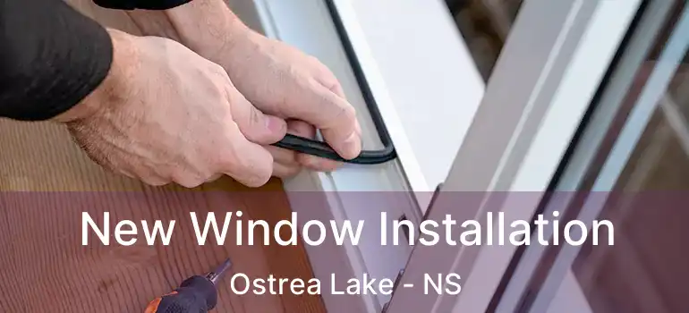  New Window Installation Ostrea Lake - NS