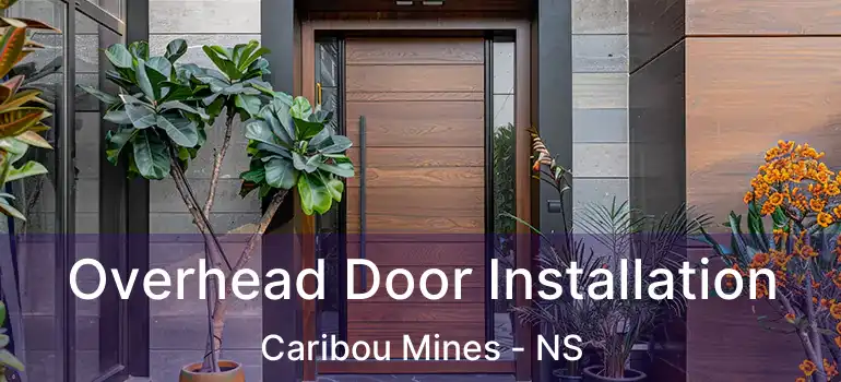  Overhead Door Installation Caribou Mines - NS