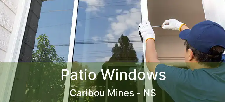  Patio Windows Caribou Mines - NS