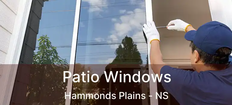  Patio Windows Hammonds Plains - NS