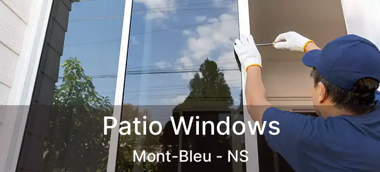  Patio Windows Mont-Bleu - NS