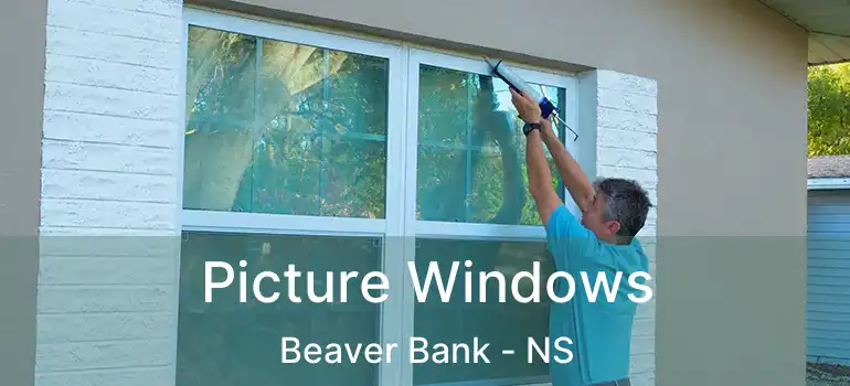  Picture Windows Beaver Bank - NS