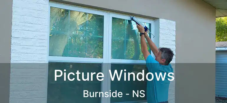  Picture Windows Burnside - NS