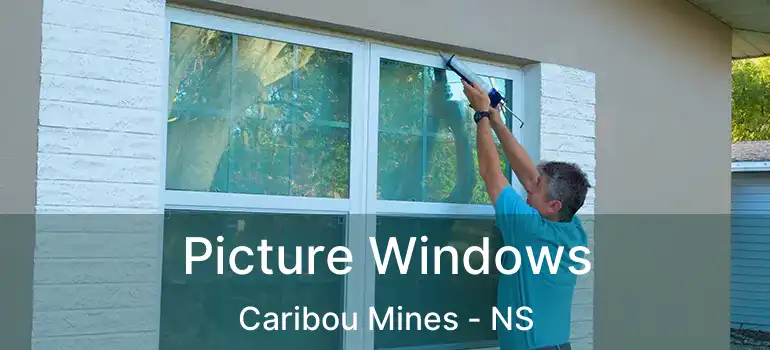  Picture Windows Caribou Mines - NS