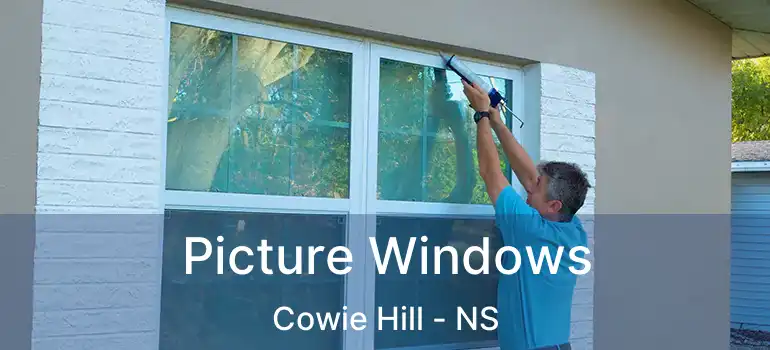  Picture Windows Cowie Hill - NS