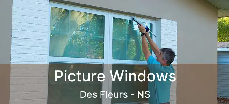  Picture Windows Des Fleurs - NS