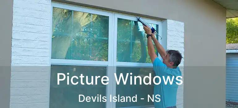  Picture Windows Devils Island - NS