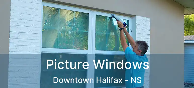  Picture Windows Downtown Halifax - NS