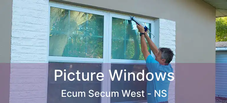  Picture Windows Ecum Secum West - NS