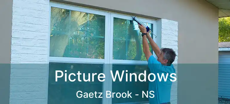  Picture Windows Gaetz Brook - NS