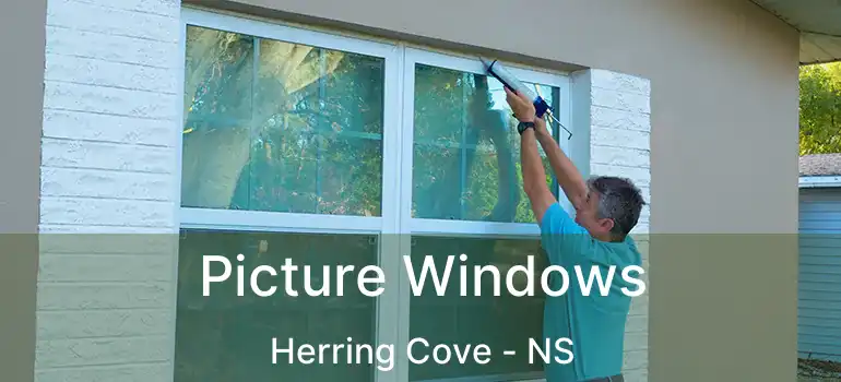  Picture Windows Herring Cove - NS