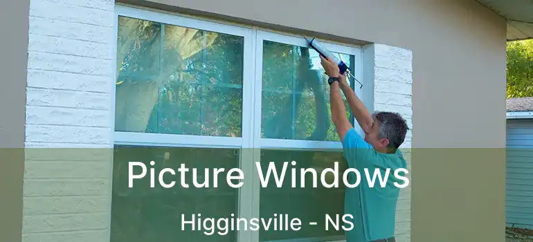  Picture Windows Higginsville - NS