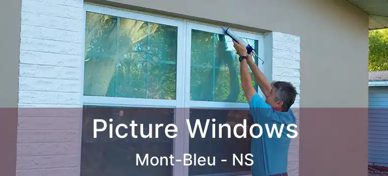  Picture Windows Mont-Bleu - NS