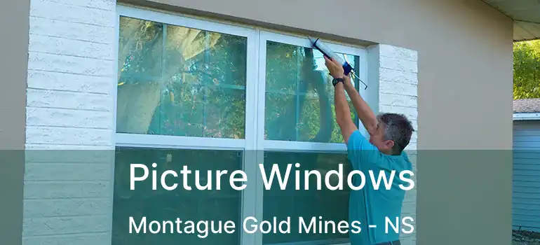  Picture Windows Montague Gold Mines - NS