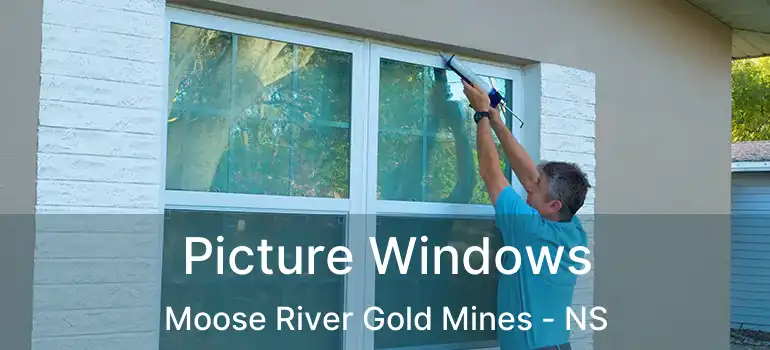  Picture Windows Moose River Gold Mines - NS