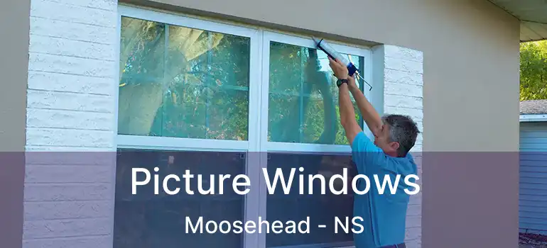  Picture Windows Moosehead - NS