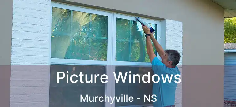  Picture Windows Murchyville - NS