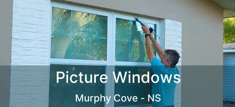  Picture Windows Murphy Cove - NS