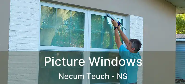  Picture Windows Necum Teuch - NS