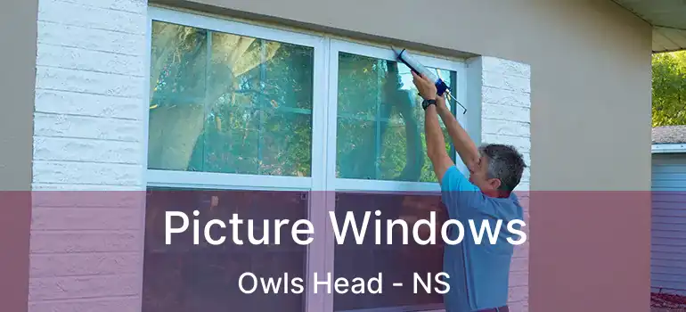  Picture Windows Owls Head - NS