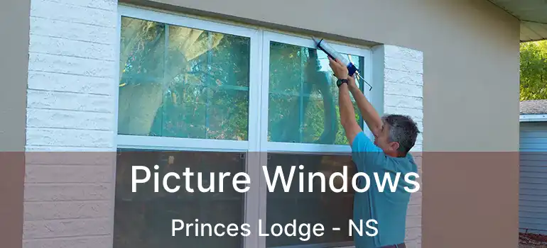  Picture Windows Princes Lodge - NS