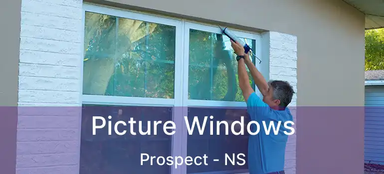  Picture Windows Prospect - NS