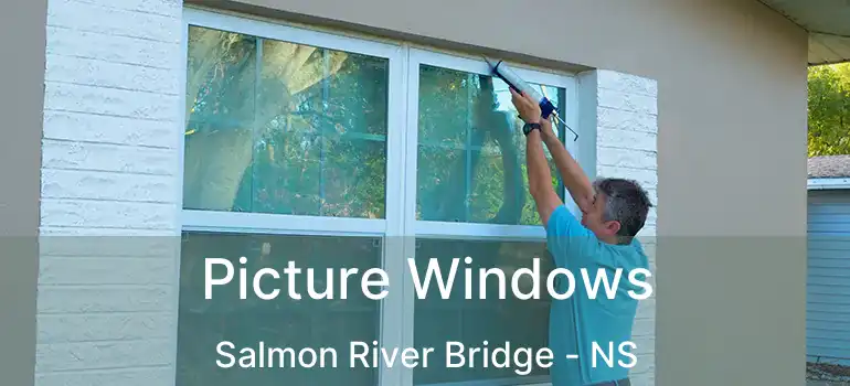  Picture Windows Salmon River Bridge - NS