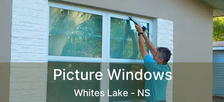  Picture Windows Whites Lake - NS