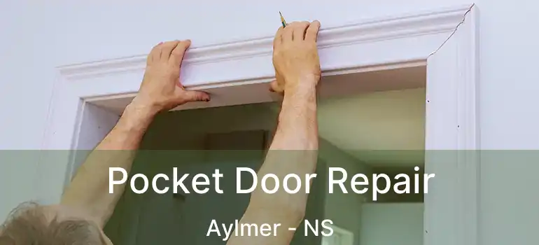  Pocket Door Repair Aylmer - NS