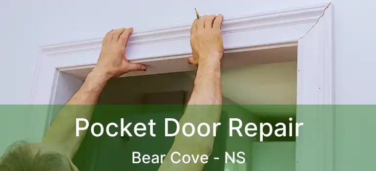  Pocket Door Repair Bear Cove - NS