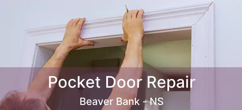  Pocket Door Repair Beaver Bank - NS