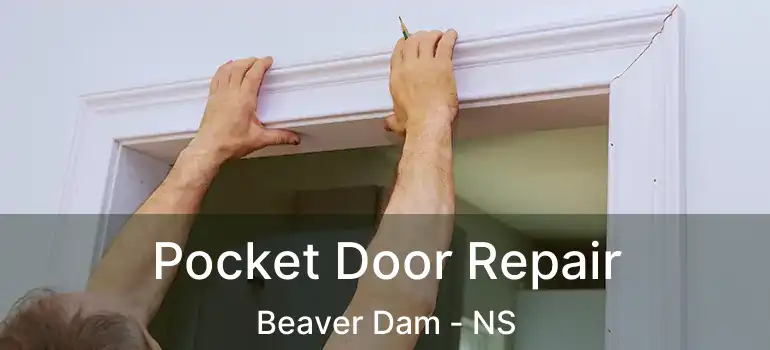  Pocket Door Repair Beaver Dam - NS