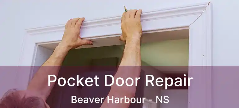  Pocket Door Repair Beaver Harbour - NS