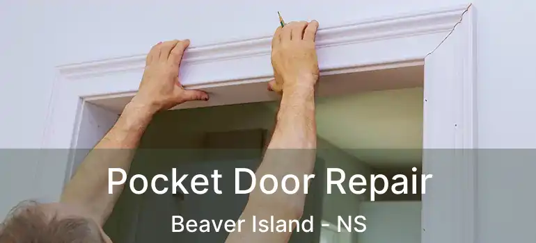  Pocket Door Repair Beaver Island - NS