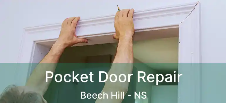  Pocket Door Repair Beech Hill - NS